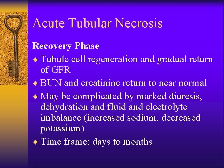 Acute Tubular Necrosis Recovery Phase ¨ Tubule cell regeneration and gradual return of GFR