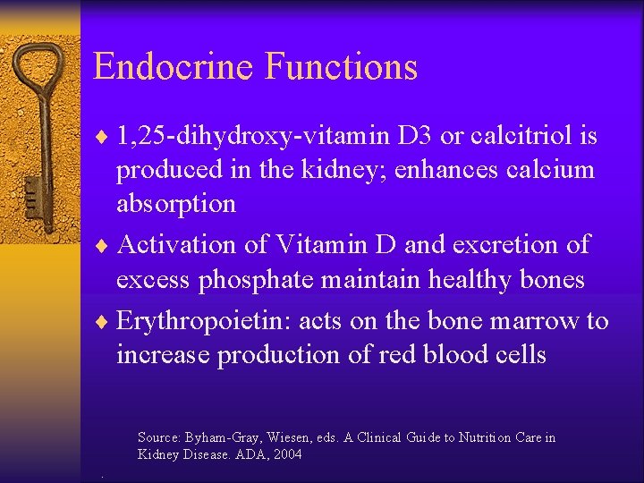 Endocrine Functions ¨ 1, 25 -dihydroxy-vitamin D 3 or calcitriol is produced in the