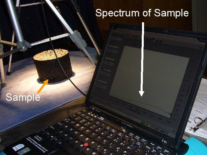 Spectrum of Sample 
