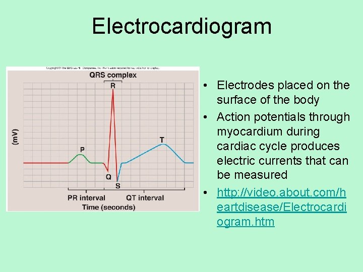 Electrocardiogram • Electrodes placed on the surface of the body • Action potentials through
