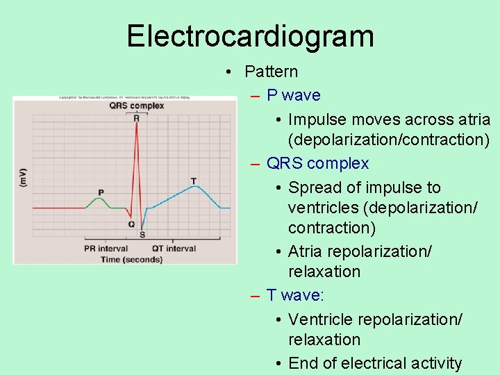 Electrocardiogram • Pattern – P wave • Impulse moves across atria (depolarization/contraction) – QRS