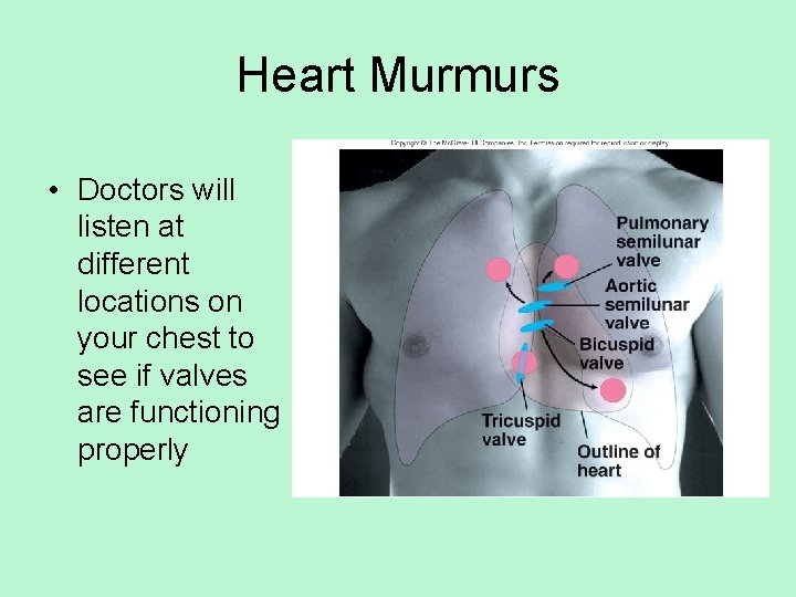 Heart Murmurs • Doctors will listen at different locations on your chest to see