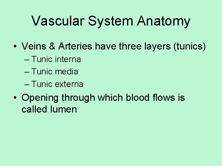 Vascular System Anatomy • Veins & Arteries have three layers (tunics) – Tunic interna