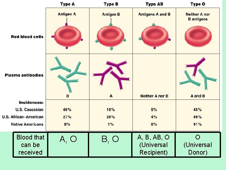 Blood that can be received A, O B, O A, B, AB, O (Universal