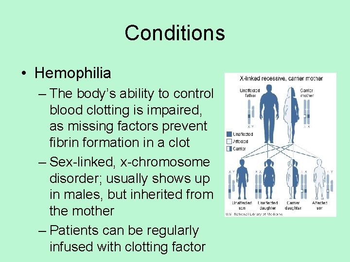 Conditions • Hemophilia – The body’s ability to control blood clotting is impaired, as