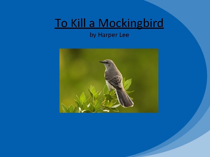 To Kill a Mockingbird by Harper Lee 