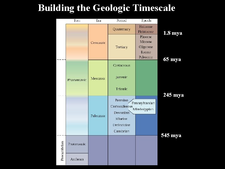 Building the Geologic Timescale 1. 8 mya 65 mya 245 mya 545 mya 