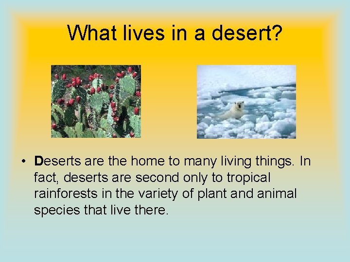 What lives in a desert? • Deserts are the home to many living things.