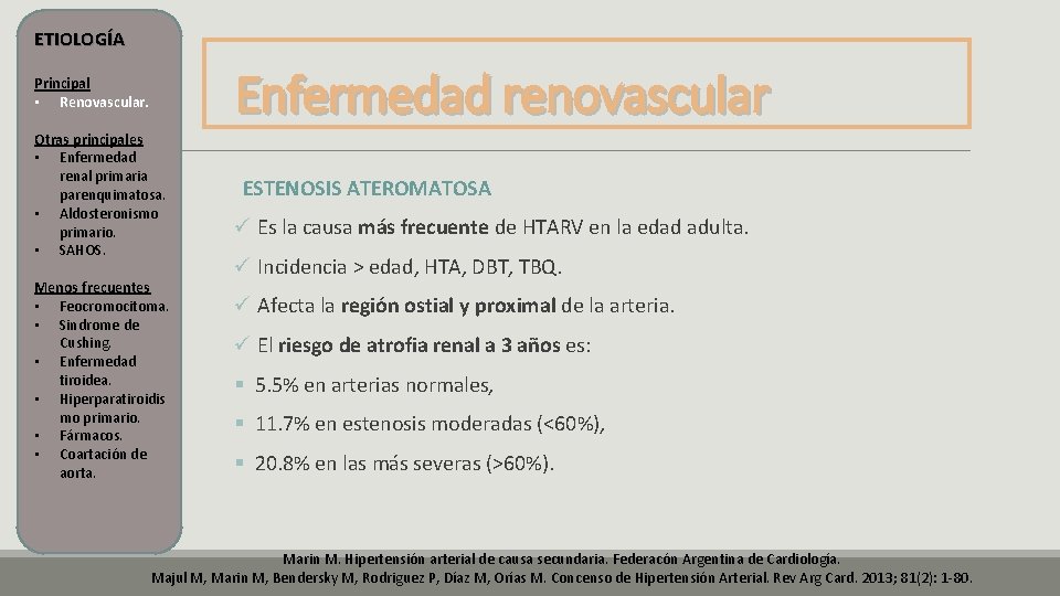 ETIOLOGÍA Principal • Renovascular. Enfermedad renovascular Otras principales • Enfermedad renal primaria parenquimatosa. • ETIOLOGÍA Principal • Renovascular. Enfermedad renovascular Otras principales • Enfermedad renal primaria parenquimatosa. •