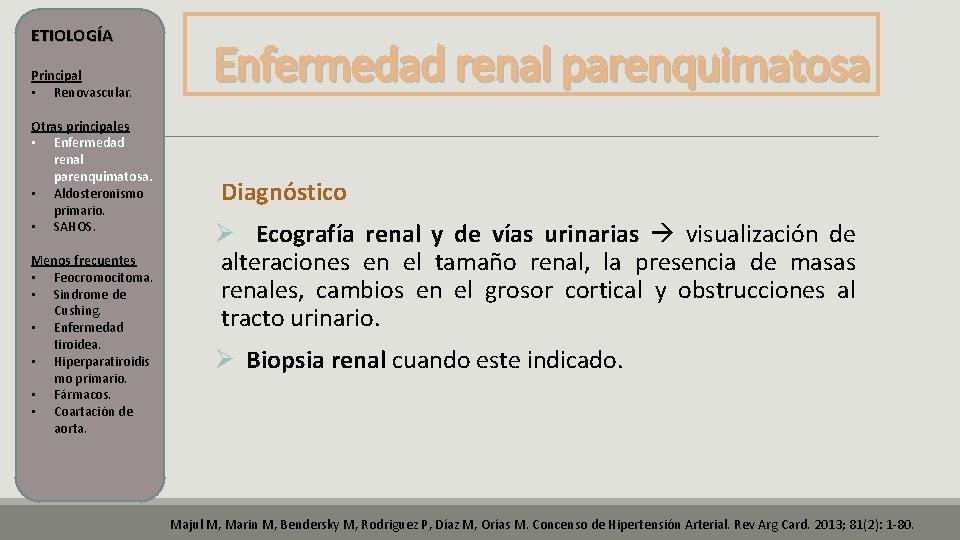 ETIOLOGÍA Principal • Renovascular. Otras principales • Enfermedad renal parenquimatosa. • Aldosteronismo primario. • ETIOLOGÍA Principal • Renovascular. Otras principales • Enfermedad renal parenquimatosa. • Aldosteronismo primario. •