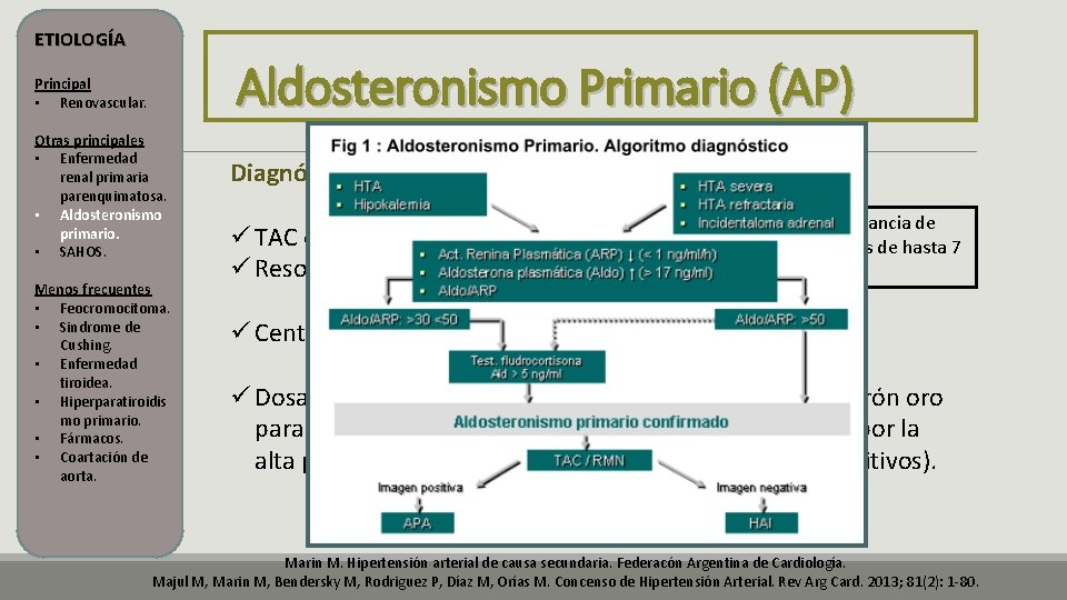 ETIOLOGÍA Aldosteronismo Primario (AP) Principal • Renovascular. Otras principales • Enfermedad renal primaria parenquimatosa. ETIOLOGÍA Aldosteronismo Primario (AP) Principal • Renovascular. Otras principales • Enfermedad renal primaria parenquimatosa.