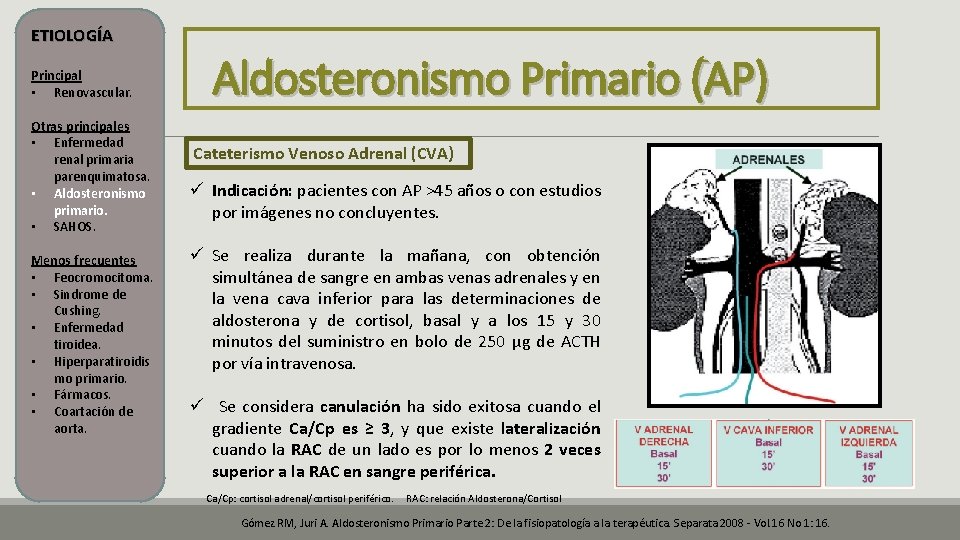 ETIOLOGÍA Principal • Renovascular. Otras principales • Enfermedad renal primaria parenquimatosa. • Aldosteronismo primario. ETIOLOGÍA Principal • Renovascular. Otras principales • Enfermedad renal primaria parenquimatosa. • Aldosteronismo primario.