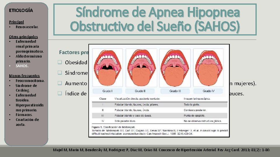 ETIOLOGÍA Principal • Renovascular. Otras principales • Enfermedad renal primaria parenquimatosa. • Aldosteronismo primario. ETIOLOGÍA Principal • Renovascular. Otras principales • Enfermedad renal primaria parenquimatosa. • Aldosteronismo primario.