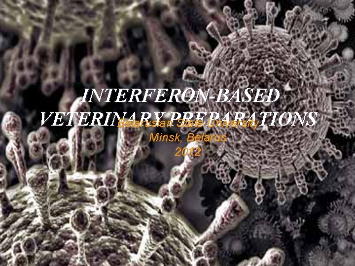 INTERFERON-BASED VETERINARY Belarusian. PREPARATIONS State University Minsk, Belarus 2012 