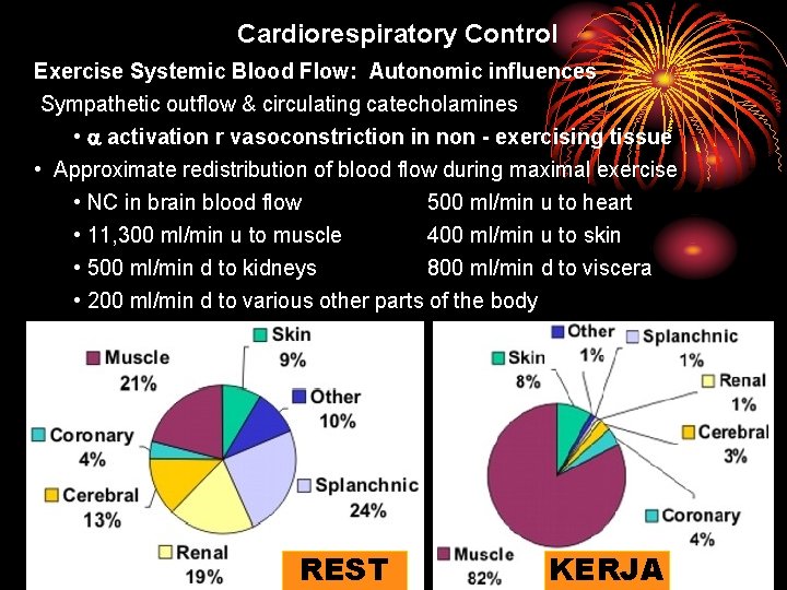 Cardiorespiratory Control Exercise Systemic Blood Flow: Autonomic influences Sympathetic outflow & circulating catecholamines •