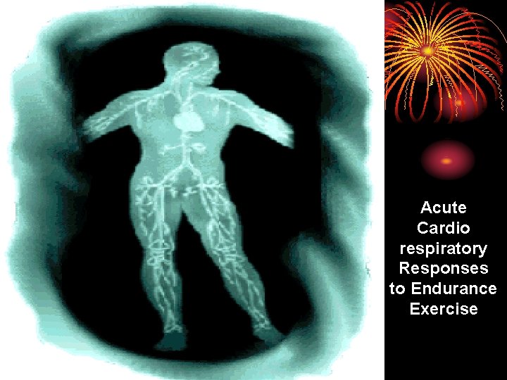 Acute Cardio respiratory Responses to Endurance Exercise 