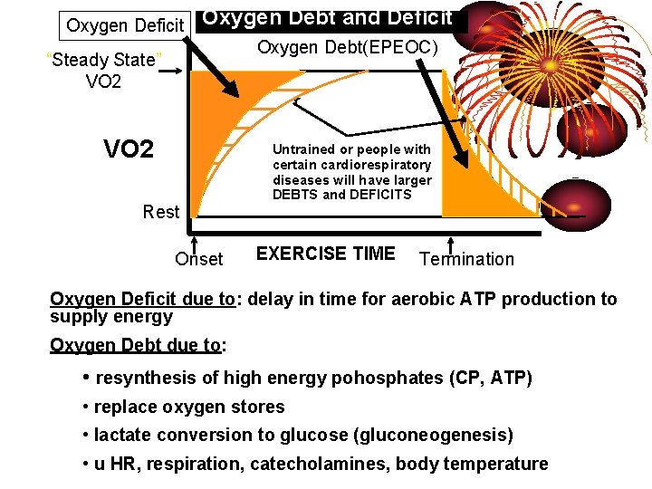 Oxygen Debt and Deficit DEBT & Oxygen DEFICIT Oxygen Deficit Oxygen Debt(EPEOC) “Steady State”