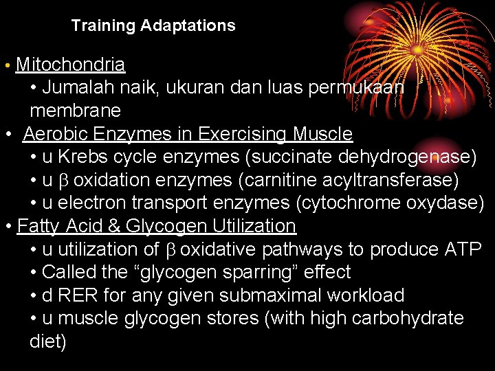 Training Adaptations • Mitochondria • Jumalah naik, ukuran dan luas permukaan membrane • Aerobic