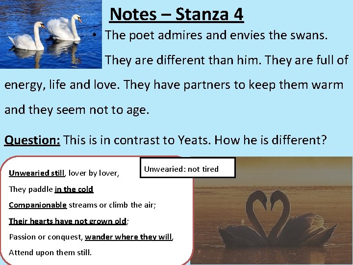 Notes – Stanza 4 • The poet admires and envies the swans. They are