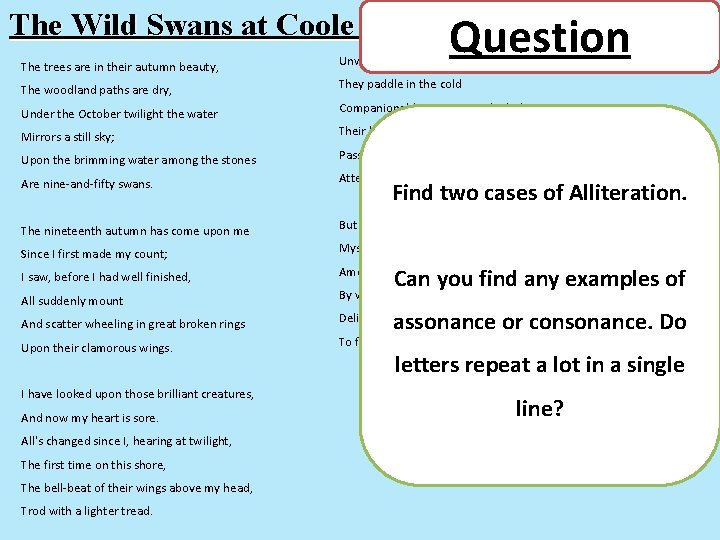 The Wild Swans at Coole Question by W. B. Yeats The trees are in