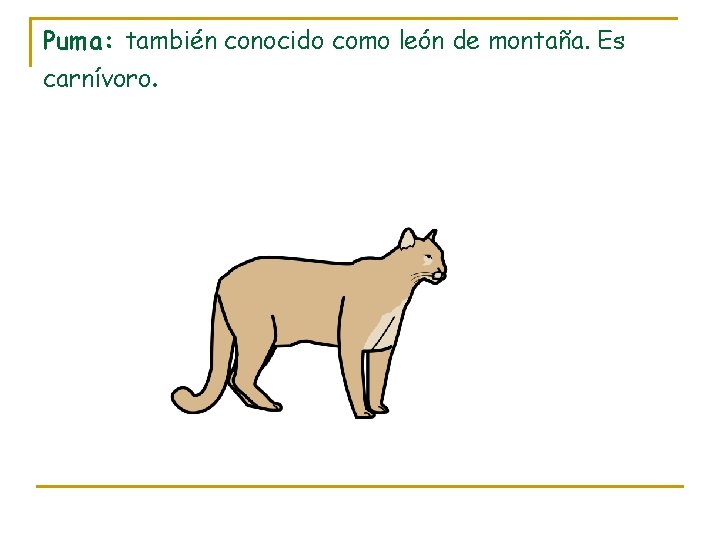 Puma: también conocido como león de montaña. Es carnívoro. 