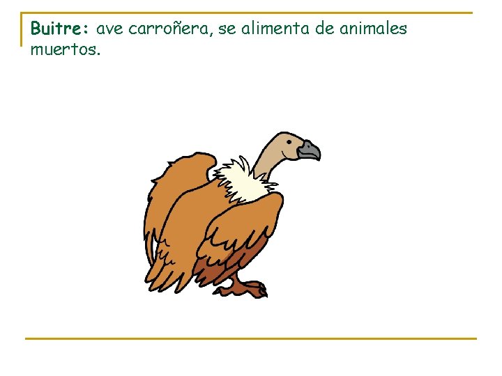 Buitre: ave carroñera, se alimenta de animales muertos. 