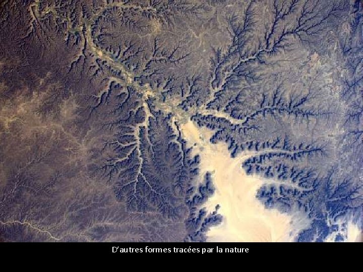 D’autres formes tracées par la nature 