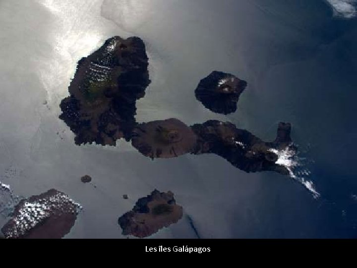 Les îles Galápagos 