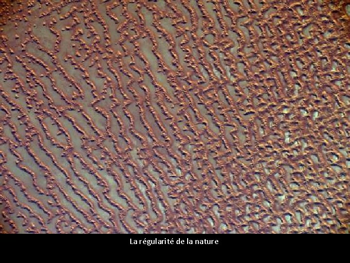 La régularité de la nature La régularité de la nature