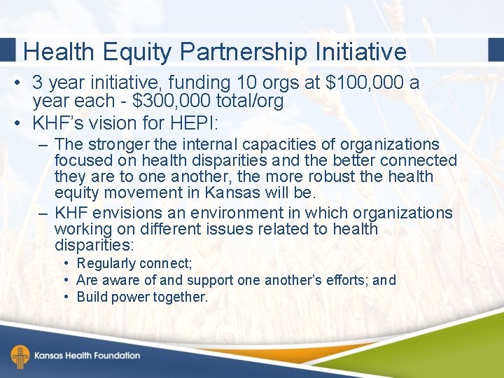 Health Equity Partnership Initiative • 3 year initiative, funding 10 orgs at $100, 000