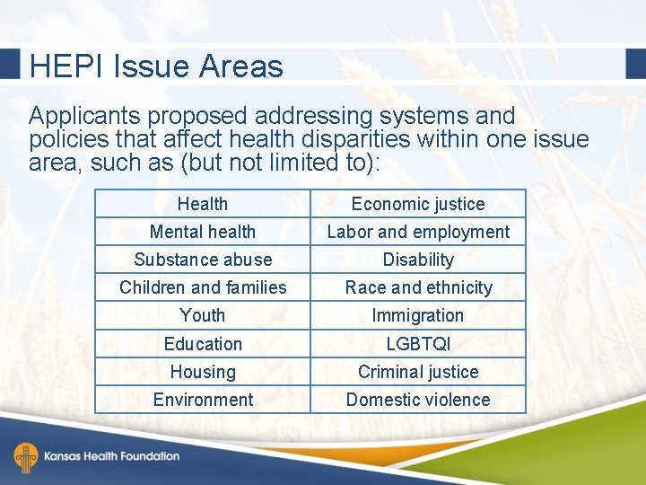 HEPI Issue Areas Applicants proposed addressing systems and policies that affect health disparities within