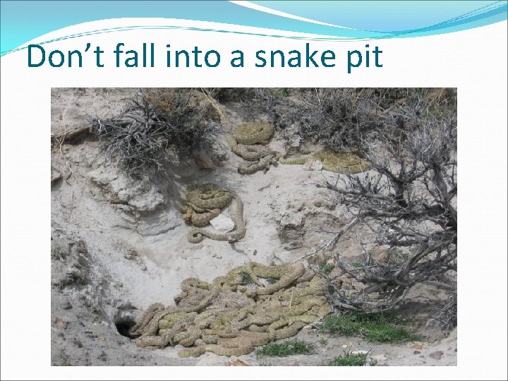 Don’t fall into a snake pit 