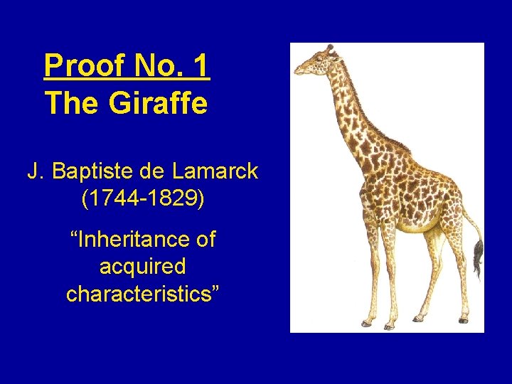 Proof No. 1 The Giraffe J. Baptiste de Lamarck (1744 -1829) “Inheritance of acquired