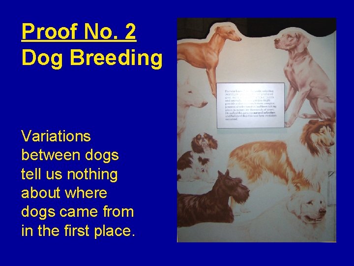 Proof No. 2 Dog Breeding Variations between dogs tell us nothing about where dogs