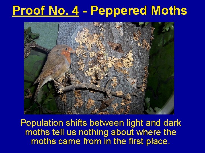 Proof No. 4 - Peppered Moths Population shifts between light and dark moths tell