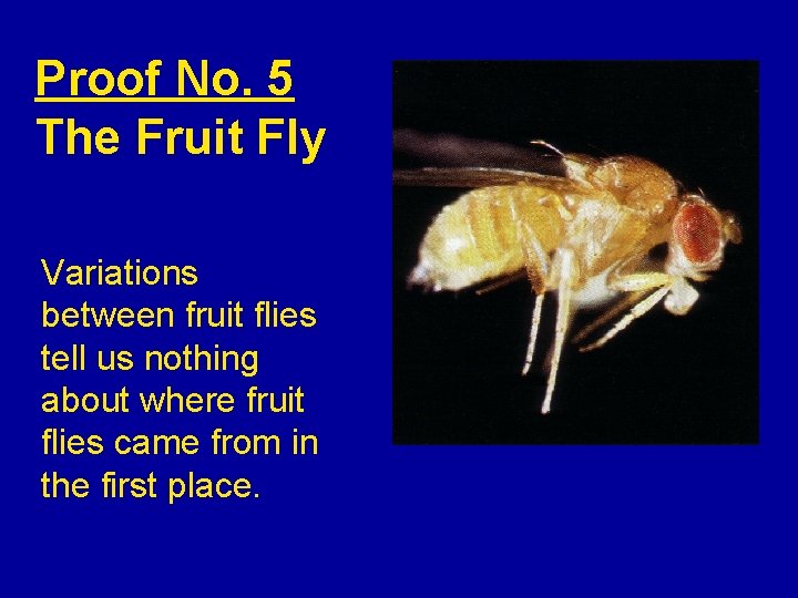 Proof No. 5 The Fruit Fly Variations between fruit flies tell us nothing about