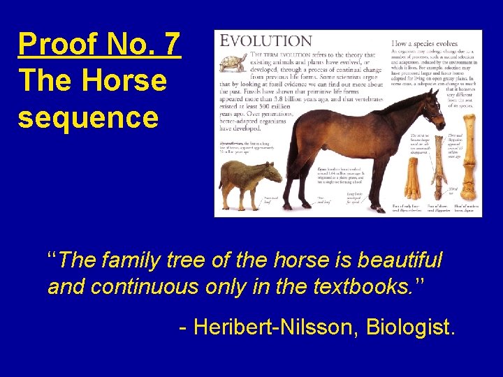 Proof No. 7 The Horse sequence ‘‘The family tree of the horse is beautiful
