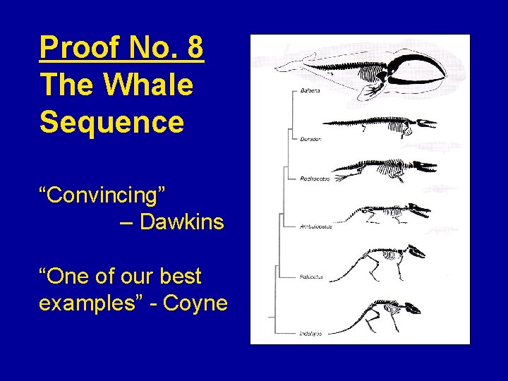 Proof No. 8 The Whale Sequence “Convincing” – Dawkins “One of our best examples”