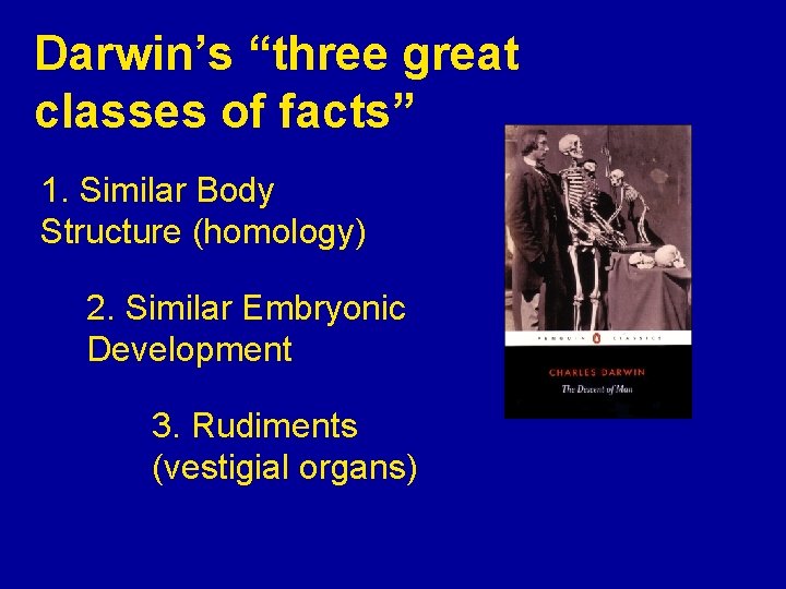Darwin’s “three great classes of facts” 1. Similar Body Structure (homology) 2. Similar Embryonic