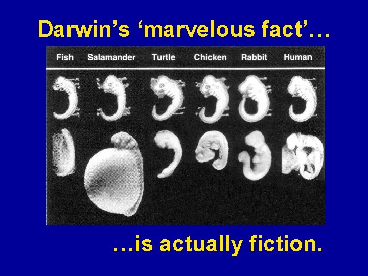 Darwin’s ‘marvelous fact’… …is actually fiction. 