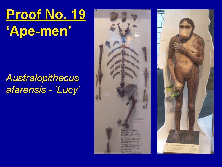 Proof No. 19 ‘Ape-men’ Australopithecus afarensis - ‘Lucy’ 