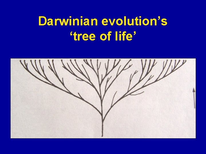 Darwinian evolution’s ‘tree of life’ 