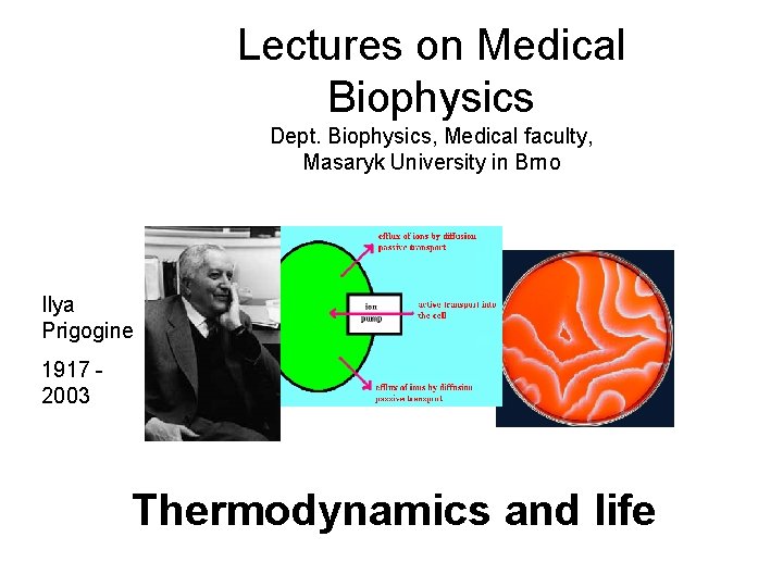 Lectures on Medical Biophysics Dept. Biophysics, Medical faculty, Masaryk University in Brno Ilya Prigogine