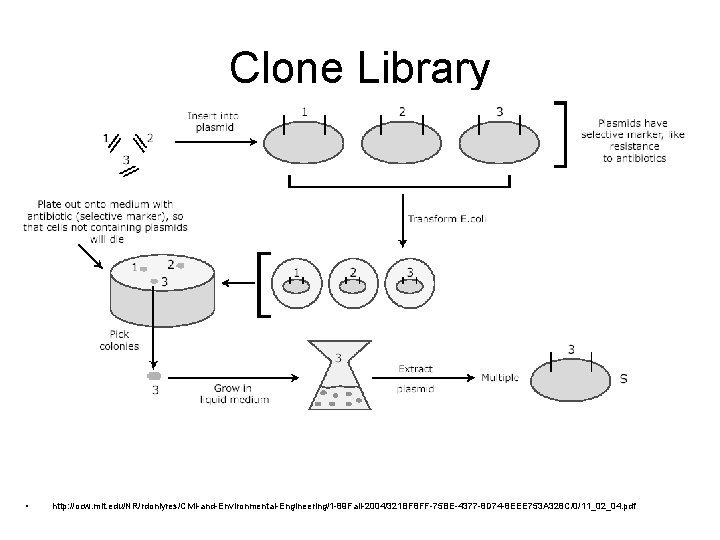 Clone Library • http: //ocw. mit. edu/NR/rdonlyres/Civil-and-Environmental-Engineering/1 -89 Fall-2004/321 BF 8 FF-75 BE-4377 -8