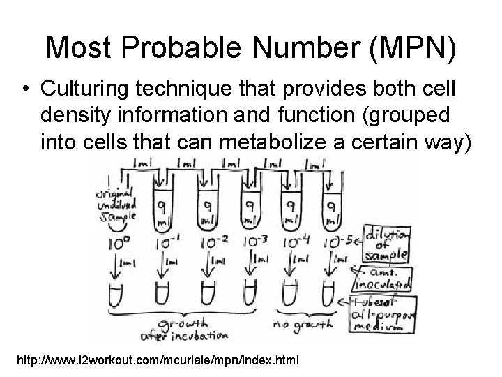 Most Probable Number (MPN) • Culturing technique that provides both cell density information and