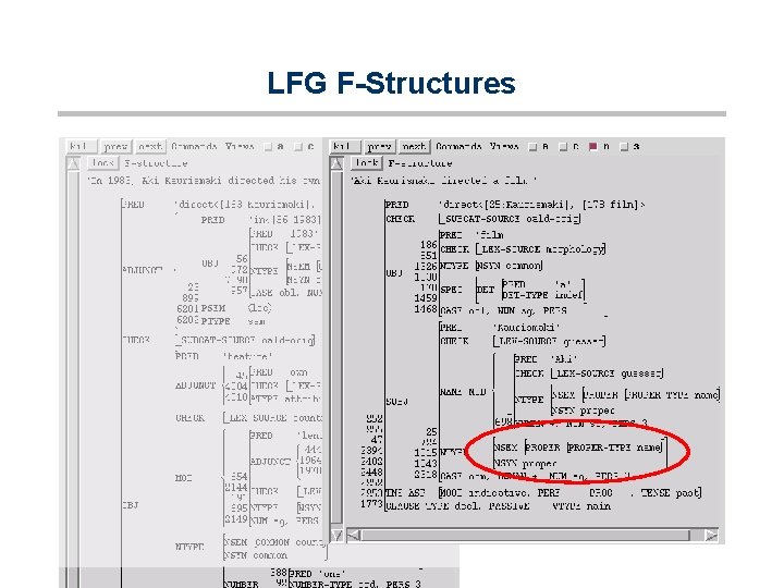 LFG F-Structures 