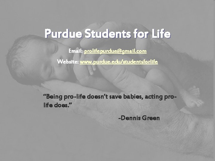 Purdue Students for Life Email: prolifepurdue@gmail. com Website: www. purdue. edu/studentsforlife “Being pro-life doesn’t
