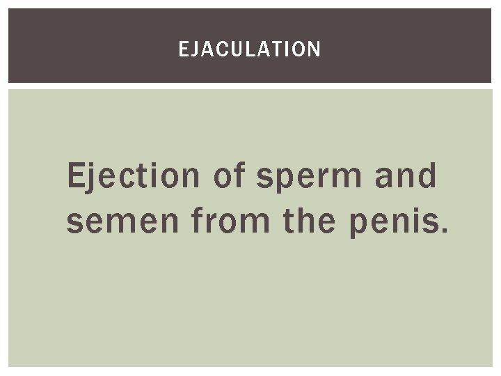 EJACULATION Ejection of sperm and semen from the penis. 