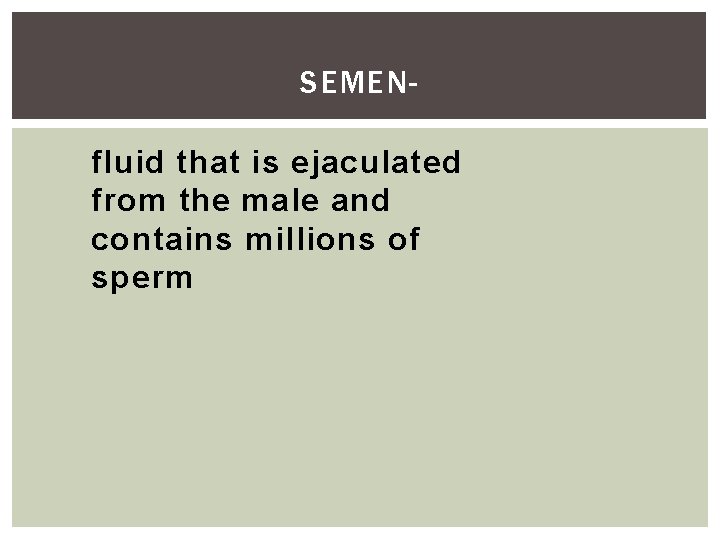 SEMENfluid that is ejaculated from the male and contains millions of sperm 
