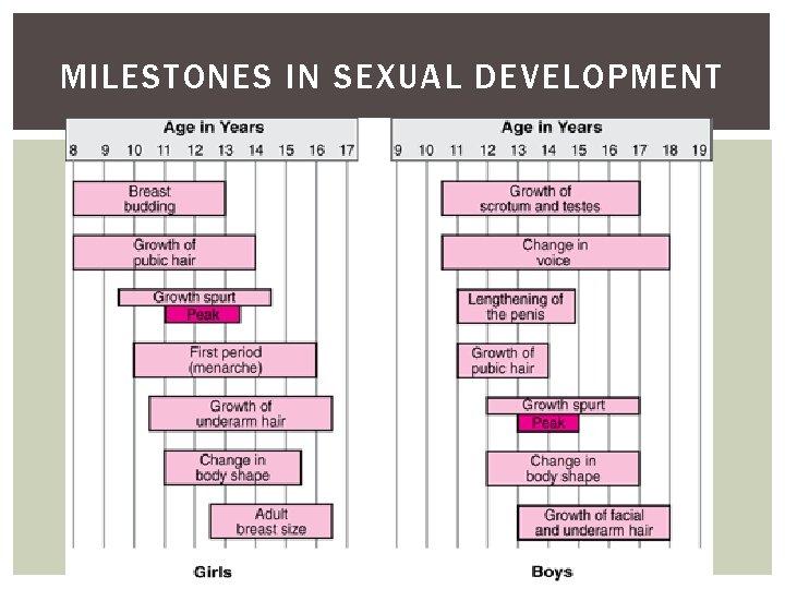 MILESTONES IN SEXUAL DEVELOPMENT 